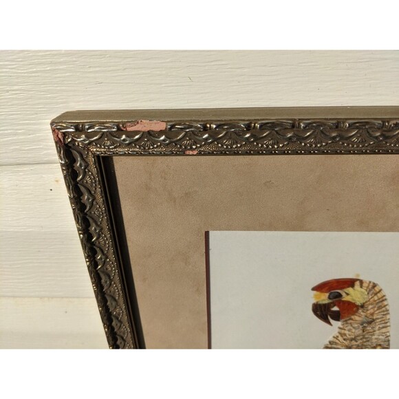 Vtg 70s Parrot Picture Handmade From Butterfly Wings African Art Framed W/Glass - Picture 6 of 10